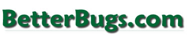 Betterbugs.com
